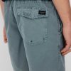 Clothing Volcom Shorts | Volcom Center Trunk 17 Shorts Blue