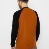 Clothing Mons Royale Active Underwear | Mens Mons Royale Icon Merino Raglan Active Longsleeve Brown